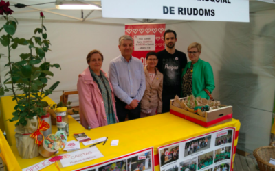 Manifest en el Dia Internacional del Voluntariat 2018